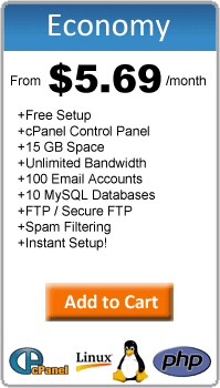 Economy Web Hosting